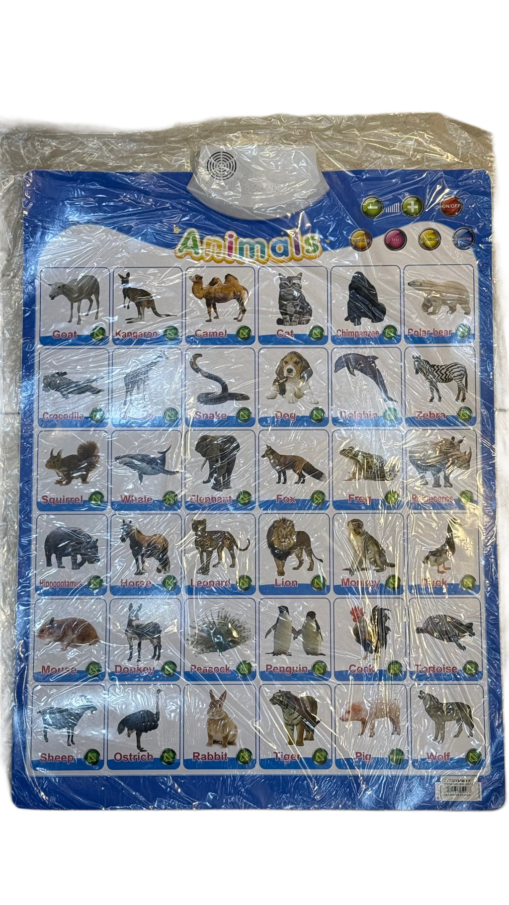 Educational combo(5 pc)