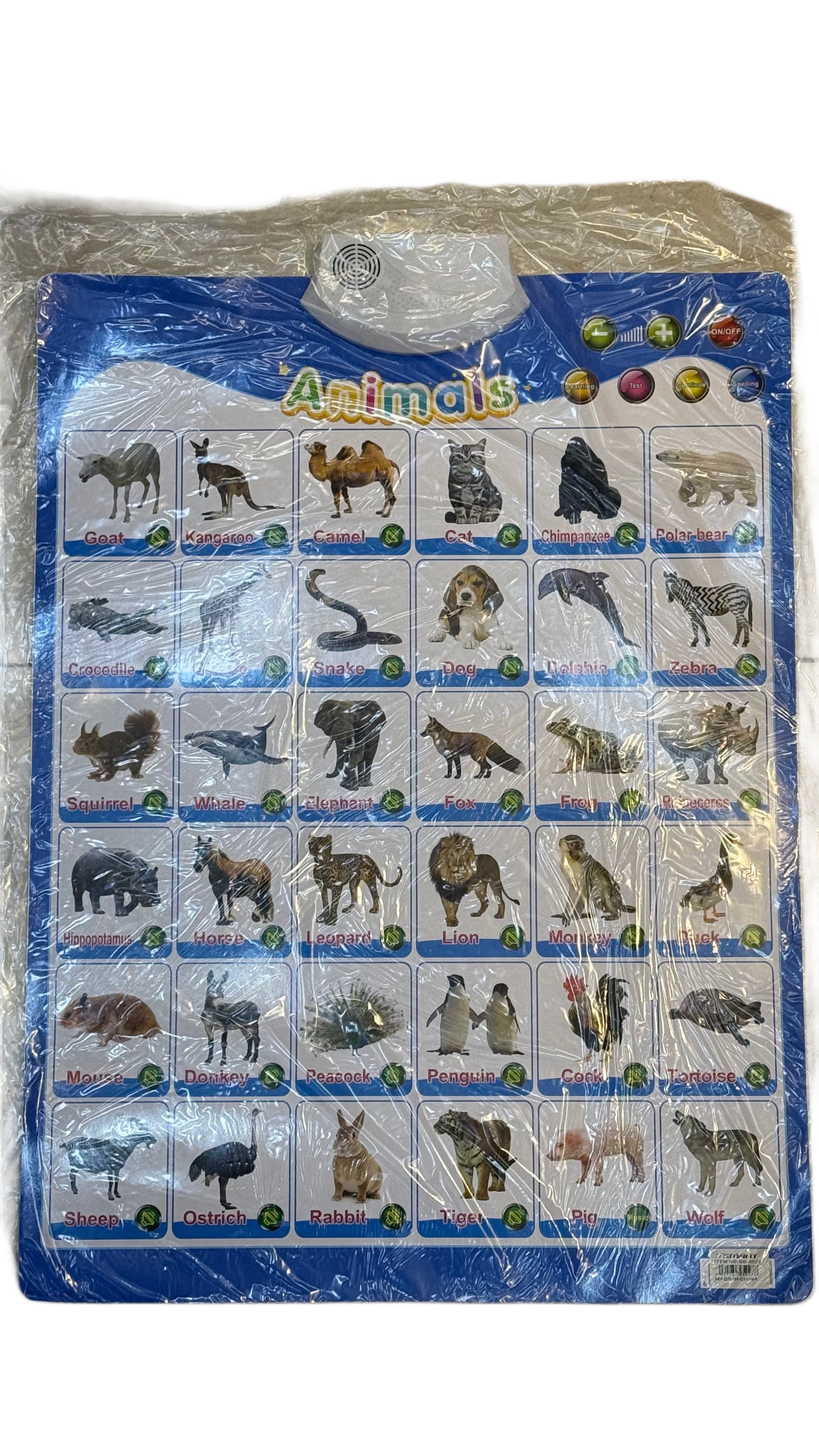 Educational combo(5 pc)