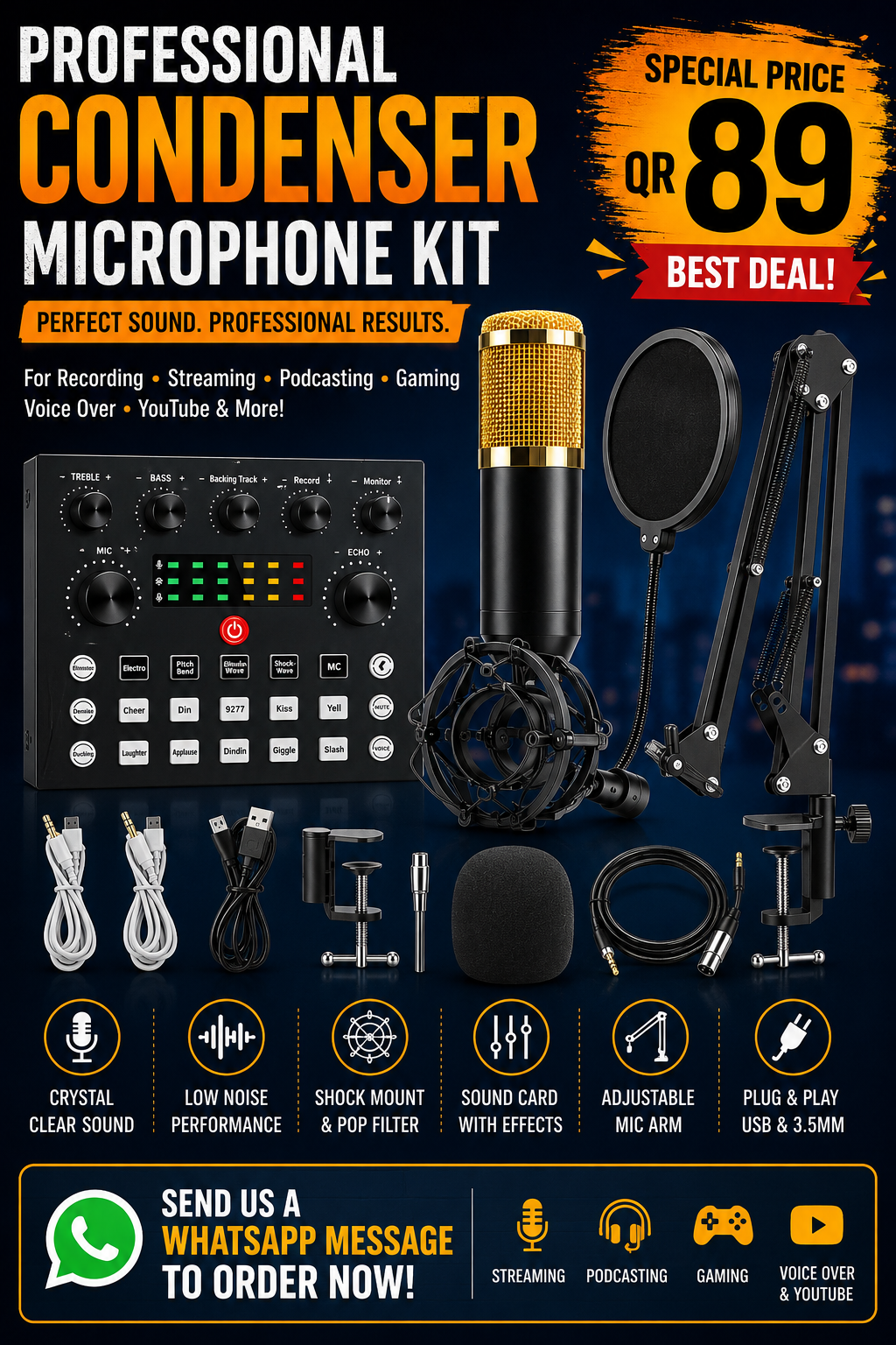 Professional Condenser Microphone Kit