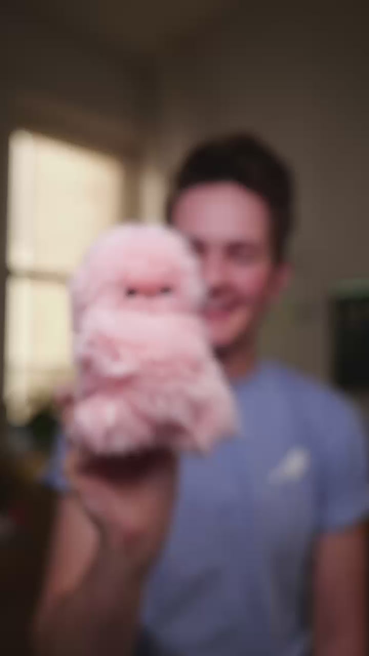 🦉 Mirumi Cute Talking Owl Plush